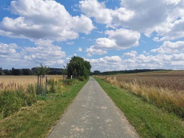a serene countryside path near Bad Doberan, close to Rostock in Mecklenburg-Vorpommern, framed by golden fields and a sky dotted with fluffy white clouds, offering a picturesque scene perfect for a peaceful walk clipart