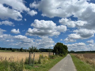 a serene countryside path near Bad Doberan, close to Rostock in Mecklenburg-Vorpommern, framed by golden fields and a sky dotted with fluffy white clouds, offering a picturesque scene perfect for a peaceful walk clipart