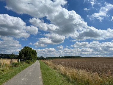 Bad Doberan yakınlarında, Mecklenburg-Vorpommern 'de Rostock' a yakın, altın tarlalarla çevrili, tüylü beyaz bulutlarla kaplı bir gökyüzü, huzurlu bir yürüyüş için mükemmel bir manzara sunuyor.