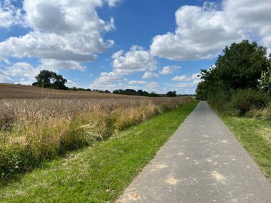 Bad Doberan yakınlarında, Mecklenburg-Vorpommern 'de Rostock' a yakın, altın tarlalarla çevrili, tüylü beyaz bulutlarla kaplı bir gökyüzü, huzurlu bir yürüyüş için mükemmel bir manzara sunuyor.