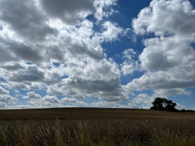 Kötü Doberan yakınlarında, Mekklenburg-Vorpommern 'de Rostock yakınlarında, tüylü bulutlarla dolu bir gökyüzünün altında altın tahıl tarlalarının olduğu bir yaz manzarası.