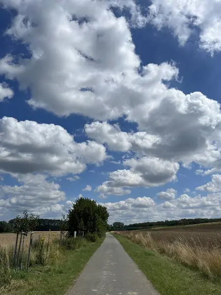 stock image a serene countryside path near Bad Doberan, close to Rostock in Mecklenburg-Vorpommern, framed by golden fields and a sky dotted with fluffy white clouds, offering a picturesque scene perfect for a peaceful walk