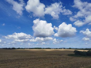 Kuzey Almanya 'da Rostock ve Schwaan arasında, Warnow nehrine yakın mavi gökyüzü olan bir hasat alanı.