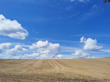 Kuzey Almanya 'da Rostock ve Schwaan arasında, Warnow nehrine yakın mavi gökyüzü olan bir hasat alanı.