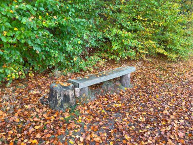 peaceful scene in a park, where fallen autumn leaves blanket the path and benches, creating a vibrant tapestry of seasonal colors clipart