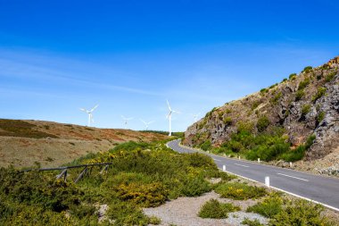 Madeira dağlarında yeşil rüzgar gücü (Portekiz)