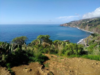 View of the cliffs of Madeira near the town of Ribeira Brava (Madeira, Portugal) clipart