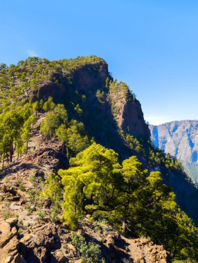 Arka planda Caldera de Taburiente ile Bejenado dağının zirvesi (La Palma, Kanarya, İspanya)