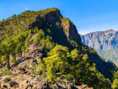 the peak of the bejenado mountain with the Caldera de Taburiente in the background (La Palma, Canaries, Spain) clipart