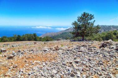 Yunan adası Girit 'in dağlarında doğa