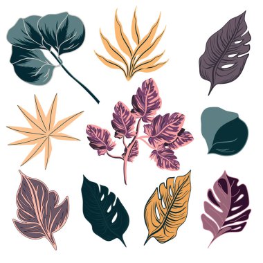 Tropikal egzotik yapraklar vektör çizimi