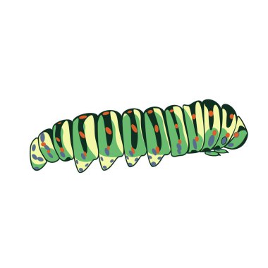 Vector illustration with a green caterpillar with orange dots isolated on white background clipart