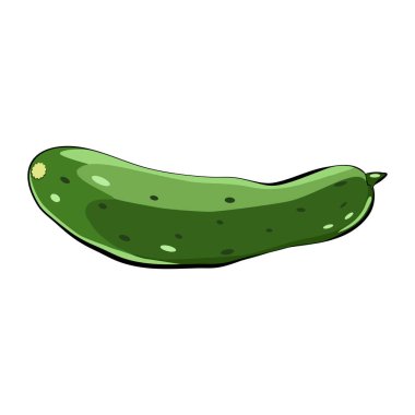 Salatalık düz teknik vektör illüstrasyonunda