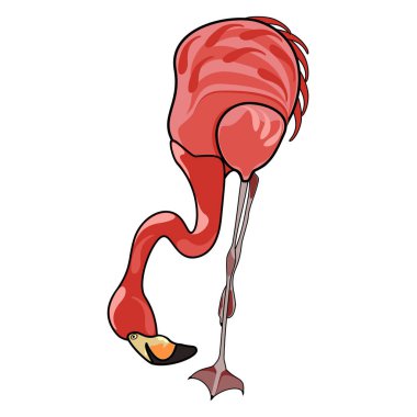 Flamingo pembe kuş çizgi film tarzında, tek bacaklı vektör illüstrasyonunda duruyor.