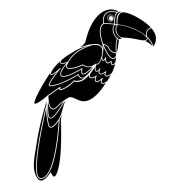 Karalama stili vektör illüstrasyonunda Toucan tropik kuşu 