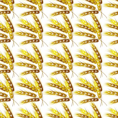 Buğday vektör illüstrasyonlu kusursuz botanik deseni