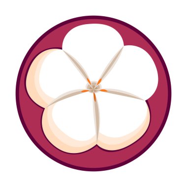 Düz teknikte mangoson dilimli botanik vektör çizimi