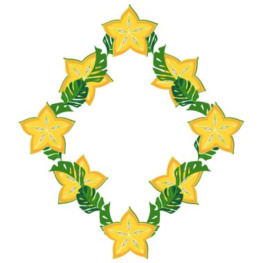 Yıldız meyveleri ve tropikal yapraklı geometrik çerçeve