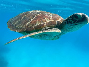 Çamaşır ipi, Dhaka, Bangladeş
