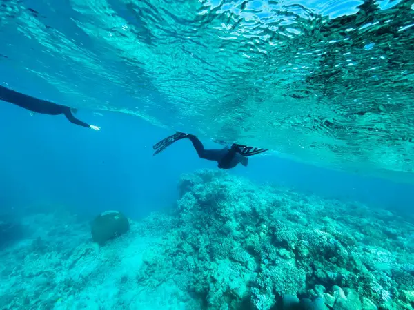 woman snorkeling underwater in the ocean, great barrier reef, queensland, australia