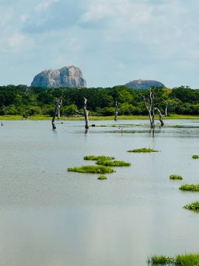 manzara, Yala, Sri Lanka