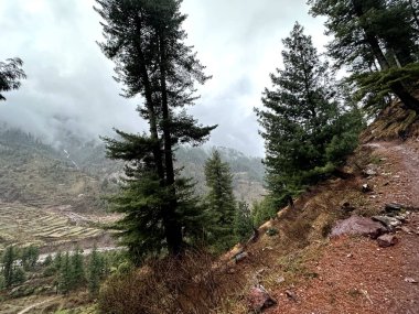 Karlı, çamlı ve dağlı dağ manzarası, geniş açı, Hayber Pakhtunkhwa, Pakistan
