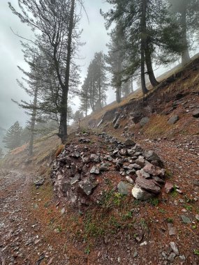 Ağaçlı güzel bir manzara, Hayber Pakhtunkhwa, Pakistan