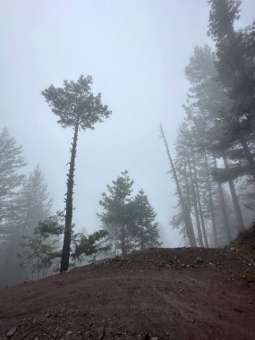 Güzel dağ manzarası. Doğa, seyahat, Hayber Pakhtunkhwa, Pakistan