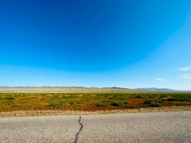 Moğolistan çölünde boş bir yol