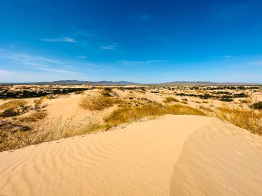 Bulgan, Moğolistan 'daki çölün kum tepeleri ve kumulları