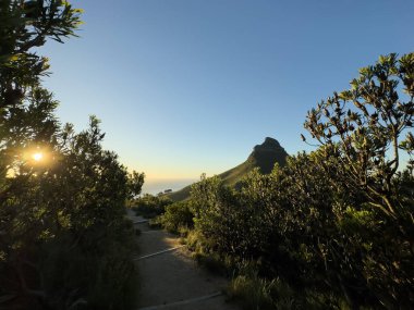 Masa Dağı 'ndan Aslan Başı, Masa Dağı Ulusal Parkı, Cape Town, Batı Burnu, Güney Afrika