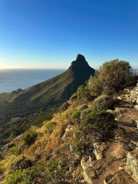 Masa Dağı 'ndan Aslan Başı, Masa Dağı Ulusal Parkı, Cape Town, Batı Burnu, Güney Afrika