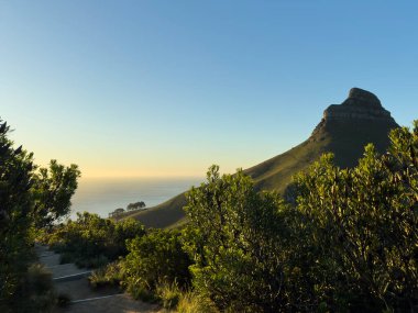 Masa Dağı 'ndan Aslan Başı, Masa Dağı Ulusal Parkı, Cape Town, Batı Burnu, Güney Afrika