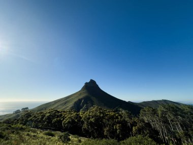 Masa Dağı 'ndan Aslan Başı, Masa Dağı Ulusal Parkı, Cape Town, Batı Burnu, Güney Afrika