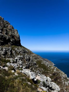 Table Dağı 'ndan Hout Körfezi' ne, Masa Dağı Ulusal Parkı, Cape Town, Batı Burnu, Güney Afrika
