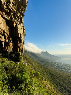 Masa Dağı, Masa Dağı Ulusal Parkı, Cape Town, Batı Burnu, Güney Afrika