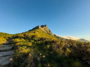 Masa Dağı, Masa Dağı Ulusal Parkı, Cape Town, Batı Burnu, Güney Afrika