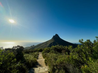 Masa Dağı 'ndan Aslan Başı, Masa Dağı Ulusal Parkı, Cape Town, Batı Burnu, Güney Afrika