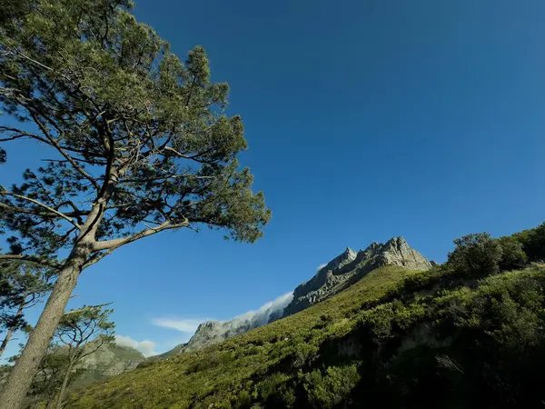 Table Mountain, Table Mountain National Park, Cape Town, Western Cape, South Africa