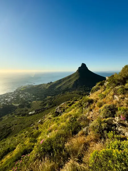 Lion's Head from Table Mountain, Table Mountain National Park, Cape Town, Western Cape, South Africa