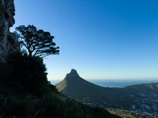 Masa Dağı 'ndan Aslan Başı, Masa Dağı Ulusal Parkı, Cape Town, Batı Burnu, Güney Afrika