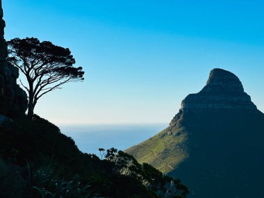Masa Dağı 'ndan Aslan Başı, Masa Dağı Ulusal Parkı, Cape Town, Batı Burnu, Güney Afrika