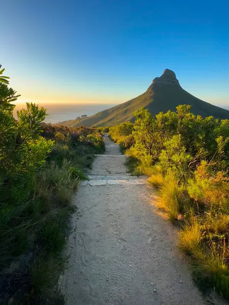 stock image Lion's Head from Table Mountain, Table Mountain National Park, Cape Town, Western Cape, South Africa