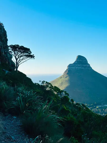 Lions Head from Table Mountain, Table Mountain National Park, Cape Town, Western Cape, South Africa