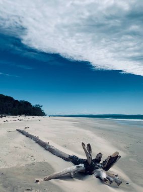 Güzel bir sahilin dikey çekimi ve bulutlu gökyüzünün altında bir deniz, Kuzey Stradbroke Adası, Queensland, Avustralya
