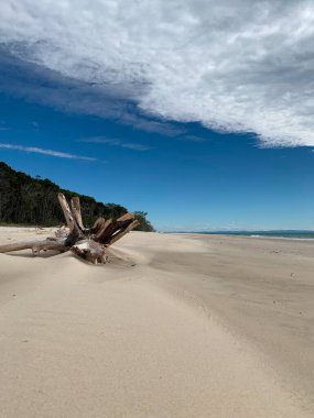 Güzel bir gün, Stradbroke Adası, Queensland, Avustralya