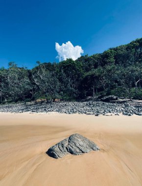 güzel bir kumsal manzarası, Noosa Ulusal Parkı, Noosa, Günışığı Sahili, Queensland, Avustralya