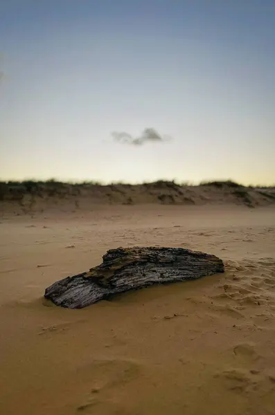 sand dunes on the coast of the Sunshine Coast, Queensland, Australia