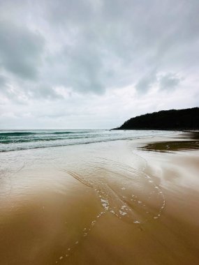 Deniz kıyısının güzel manzarası, Noosa Ulusal Parkı, Noosa, Günışığı Sahili, Queensland, Avustralya