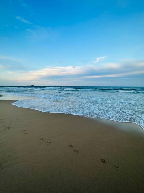 Güzel deniz manzarası, Günışığı Sahili, Queensland, Avustralya